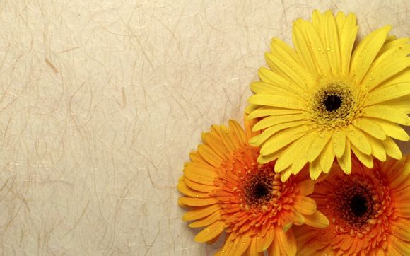 昆明附近大型游乐场