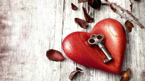 增城挂绿荔枝多少钱一斤