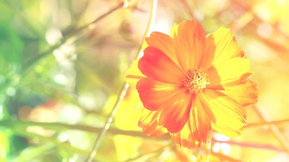 青海湖现在对外开放吗