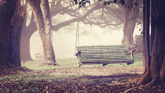 杨柳青庄园可以烧烤吗