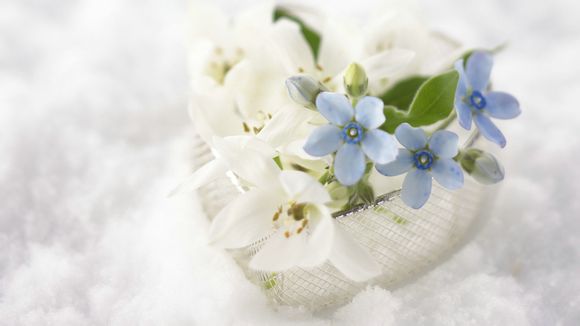 启东海上威尼斯酒店附近沙滩都要买票进去吗