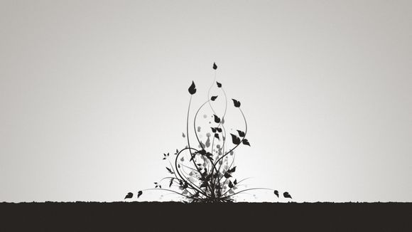 广东中山风景区有哪些景点