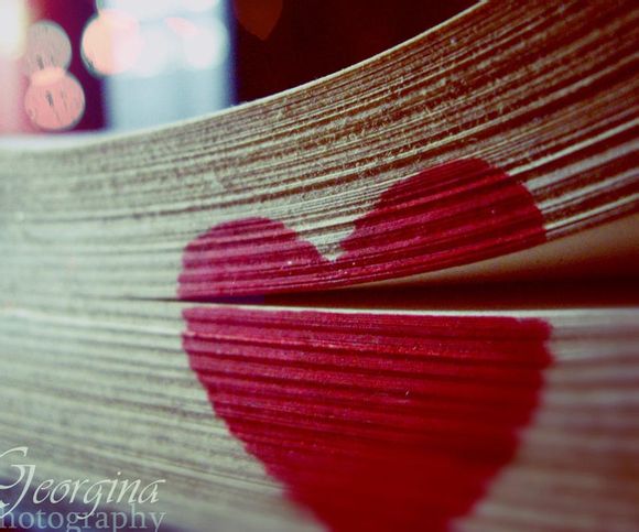 白云宾馆几星级酒店啊