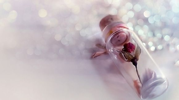 2024年九九天时间表一览