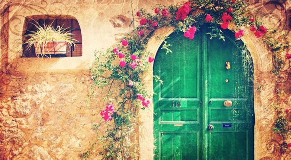 红树林和深圳湾的区别