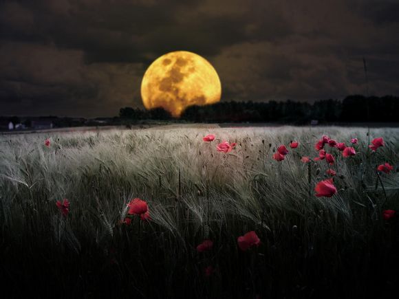 大珠山风景区入口