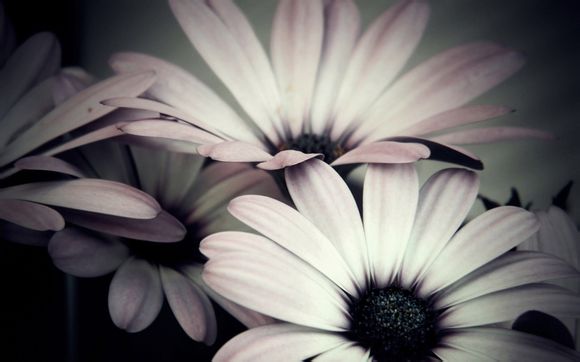 基督教主祷文全文解释