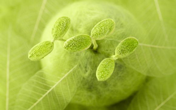 沈阳山姆会员店过年营业时间