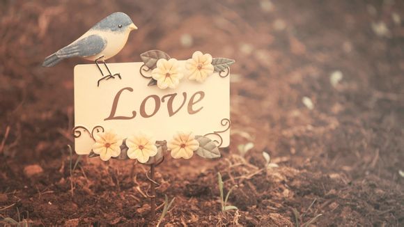 大都市小保安电视剧演员表