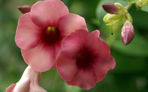 广东漂流哪里最好玩最刺激的地方