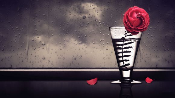 电脑屏幕两边有黑条不能全屏显示怎么办