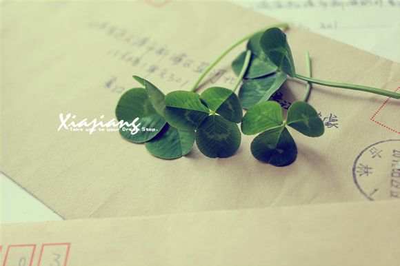 邢台旅游景点大全排名榜单