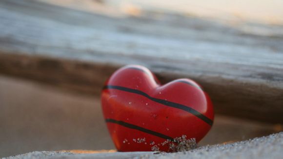 西双版纳悦江酒店价格