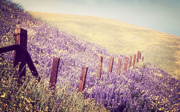2月份去哪里旅游最好5天4晚