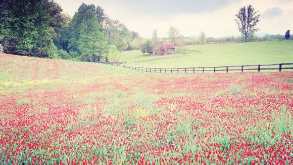上面均下面金怎么念