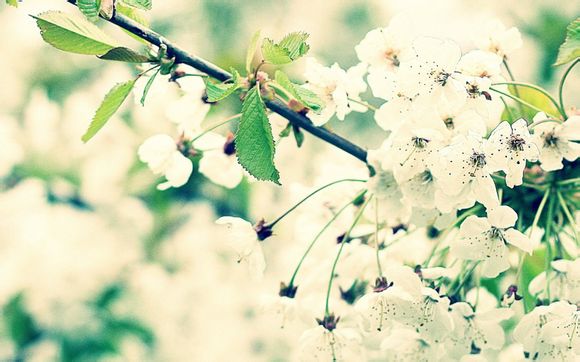 外汇局国家代码表