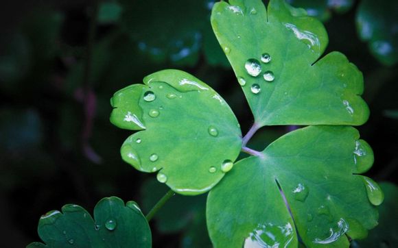 3到4天国外旅游