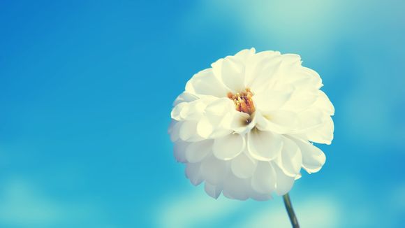 沂蒙红嫂故事