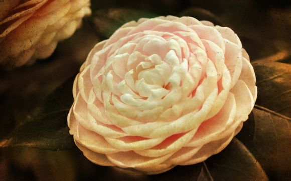 上海到南宁飞机票价格查询