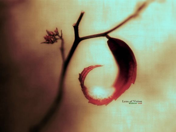 新澳海底世界营业时间是几点