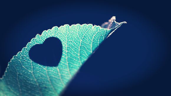 平谷大溶洞冬天开放吗