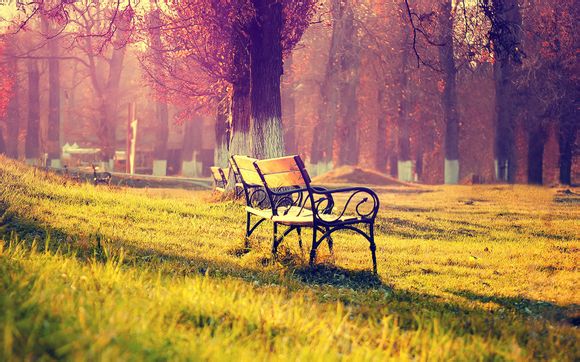 上海佘山国家森林公园现在开放吗多少钱