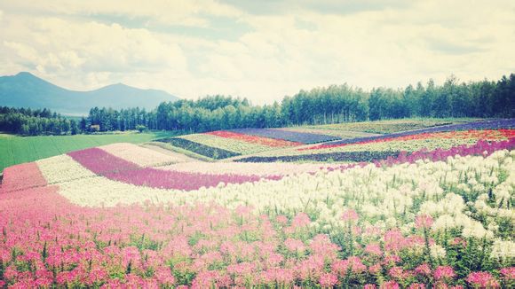 4月份去哪儿旅游好