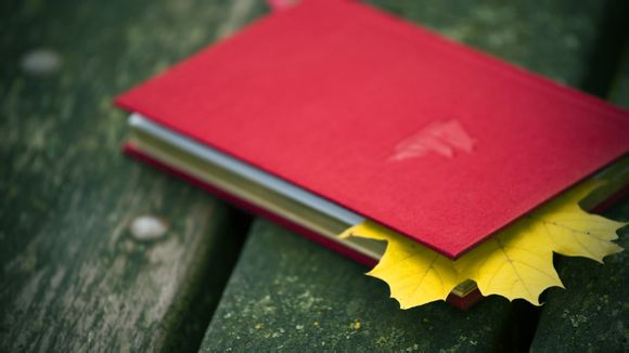 威海宾馆预定电话