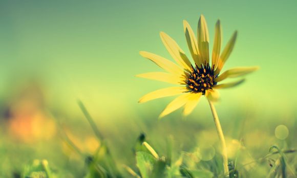 天津旅游攻略一日游略